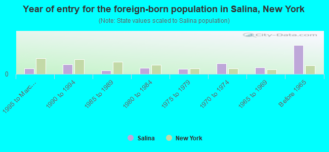 Year of entry for the foreign-born population in Salina, New York