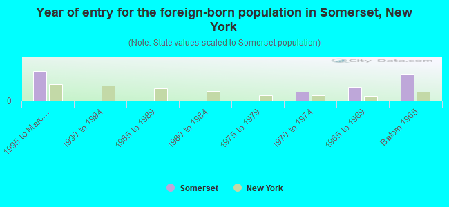 Year of entry for the foreign-born population in Somerset, New York
