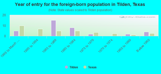 Year of entry for the foreign-born population in Tilden, Texas