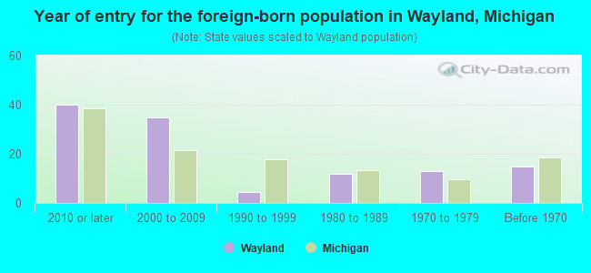 Year of entry for the foreign-born population in Wayland, Michigan