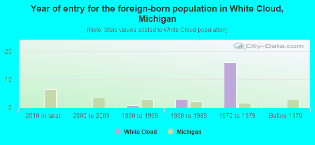 Year of entry for the foreign-born population in White Cloud, Michigan