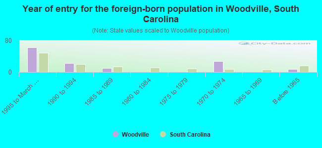 Year of entry for the foreign-born population in Woodville, South Carolina