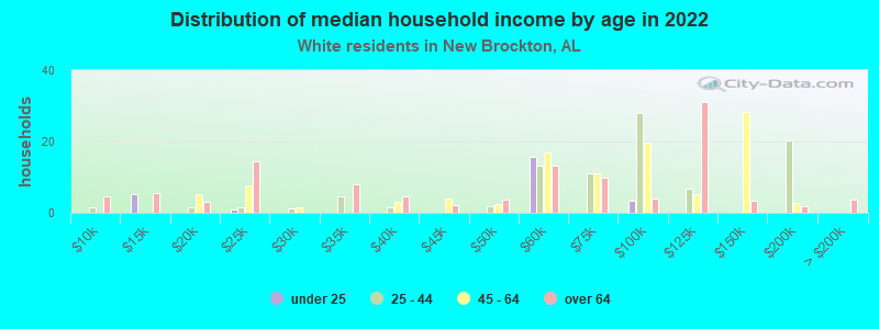 Distribution of median household income by age in 2021