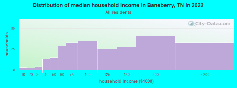 Distribution of median household income in Baneberry, TN in 2022