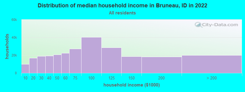 Distribution of median household income in Bruneau, ID in 2019