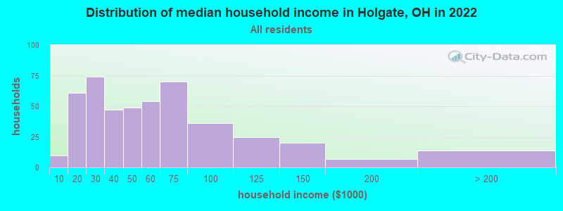 Distribution of median household income in Holgate, OH in 2022
