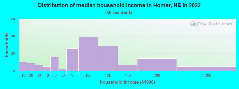 Distribution of median household income in Homer, NE in 2022