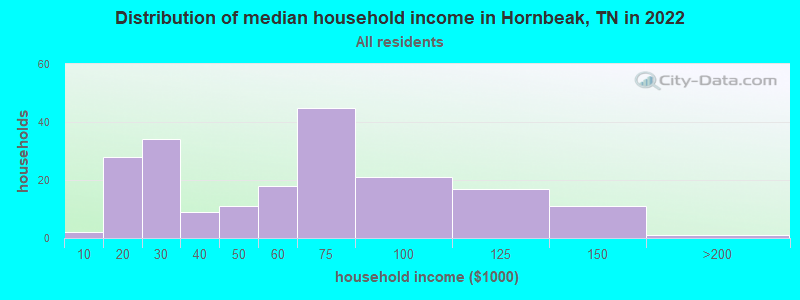 Distribution of median household income in Hornbeak, TN in 2022