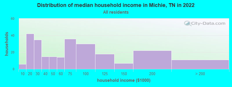Distribution of median household income in Michie, TN in 2022