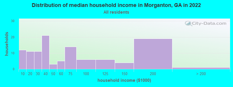 Distribution of median household income in Morganton, GA in 2019