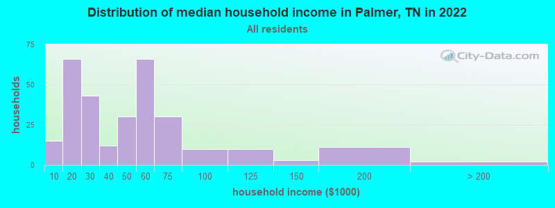 Distribution of median household income in Palmer, TN in 2022