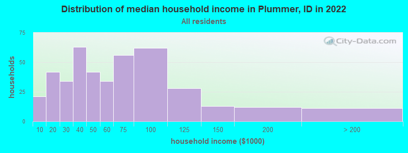 Distribution of median household income in Plummer, ID in 2019