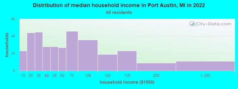 Distribution of median household income in Port Austin, MI in 2021