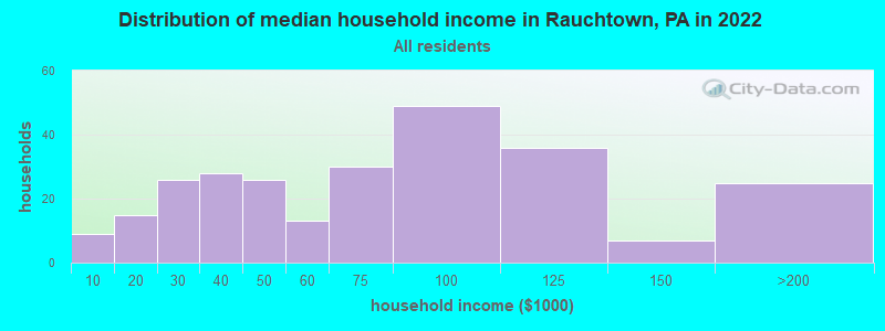 Distribution of median household income in Rauchtown, PA in 2022