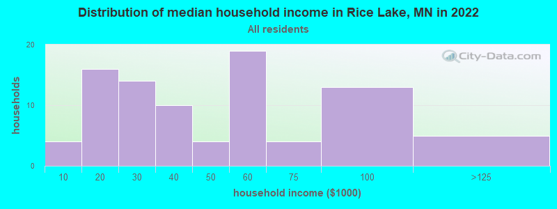 Distribution of median household income in Rice Lake, MN in 2022
