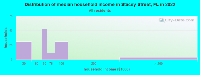Distribution of median household income in Stacey Street, FL in 2019