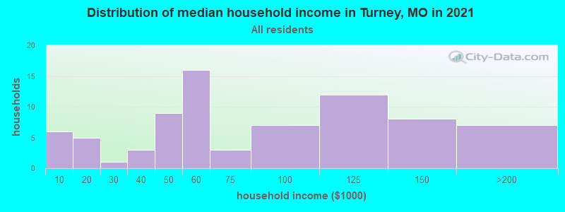 Distribution of median household income in Turney, MO in 2022