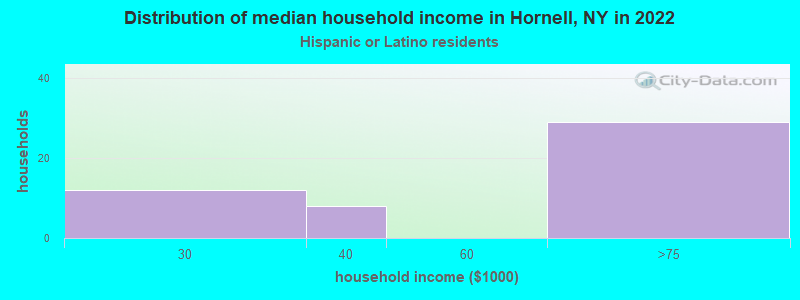 Distribution of median household income in Hornell, NY in 2022
