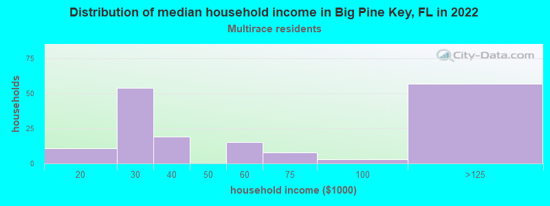 Distribution of median household income in Big Pine Key, FL in 2022