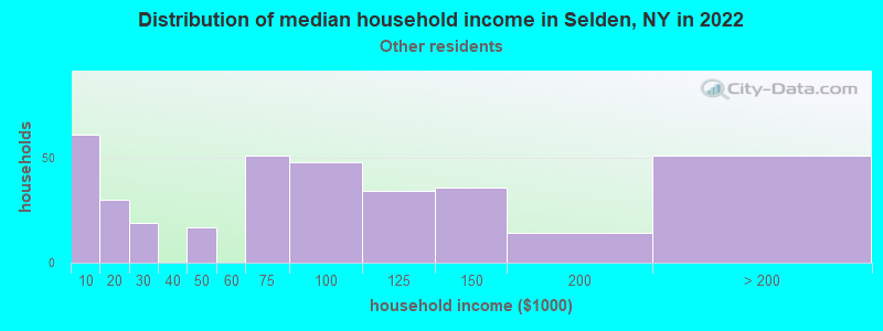 Distribution of median household income in Selden, NY in 2022