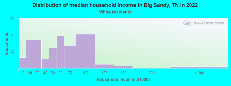Distribution of median household income in Big Sandy, TN in 2022