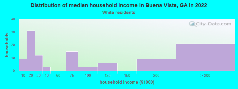 Distribution of median household income in Buena Vista, GA in 2022