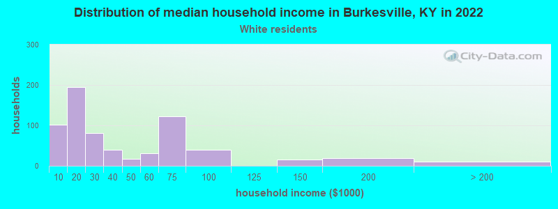 Distribution of median household income in Burkesville, KY in 2022