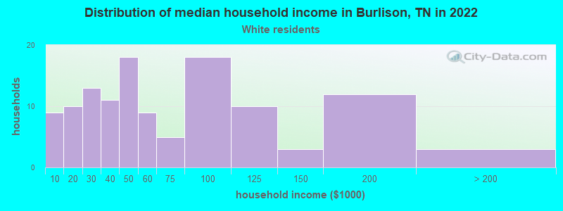 Distribution of median household income in Burlison, TN in 2022