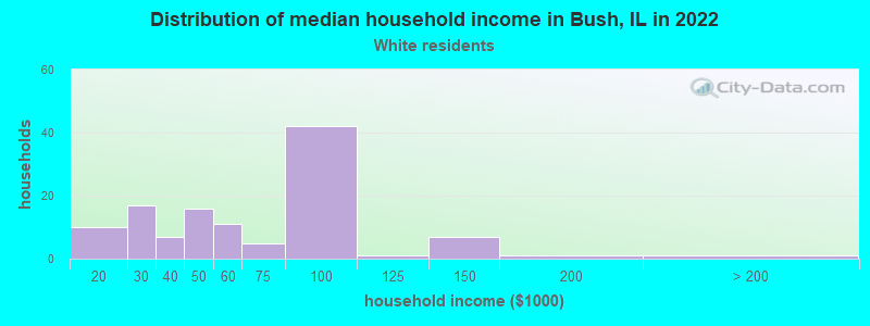 Distribution of median household income in Bush, IL in 2022