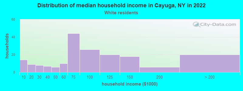 Distribution of median household income in Cayuga, NY in 2022