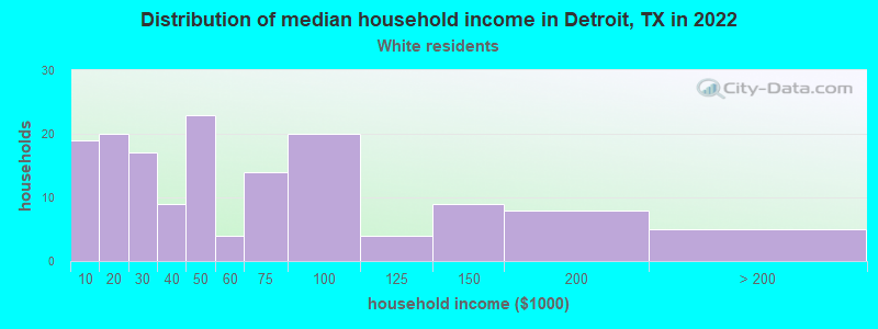 Distribution of median household income in Detroit, TX in 2022