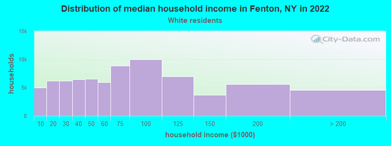 Distribution of median household income in Fenton, NY in 2022