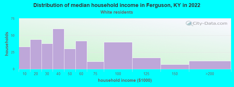 Distribution of median household income in Ferguson, KY in 2022