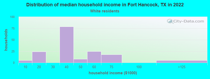 Distribution of median household income in Fort Hancock, TX in 2022