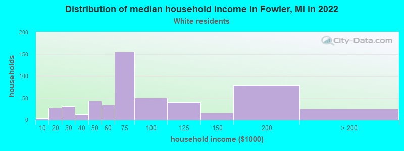 Distribution of median household income in Fowler, MI in 2022