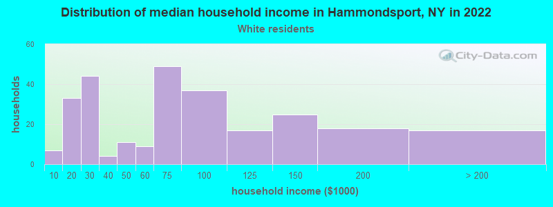 Distribution of median household income in Hammondsport, NY in 2022