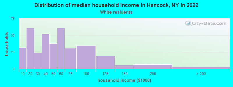 Distribution of median household income in Hancock, NY in 2022
