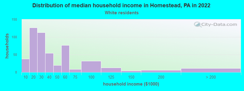 Distribution of median household income in Homestead, PA in 2022