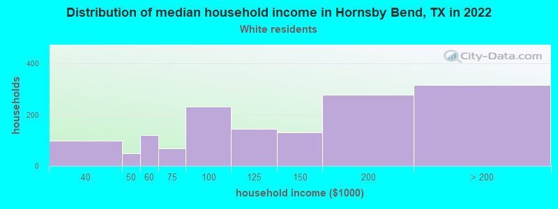 Distribution of median household income in Hornsby Bend, TX in 2022