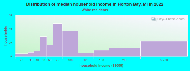 Distribution of median household income in Horton Bay, MI in 2022