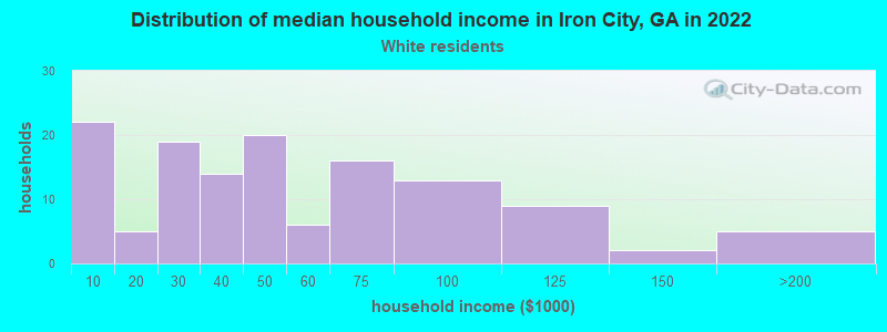 Distribution of median household income in Iron City, GA in 2022