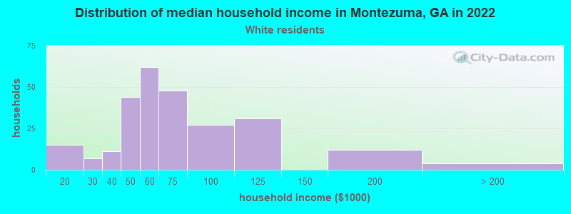 Distribution of median household income in Montezuma, GA in 2022