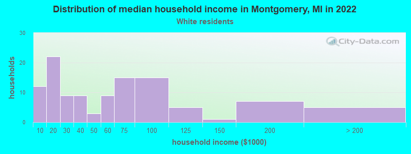 Distribution of median household income in Montgomery, MI in 2022