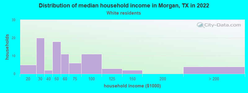 Distribution of median household income in Morgan, TX in 2022