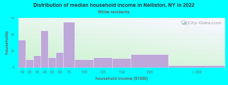 Distribution of median household income in Nelliston, NY in 2022