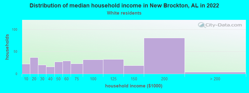 Distribution of median household income in New Brockton, AL in 2021