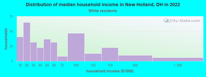 Distribution of median household income in New Holland, OH in 2022