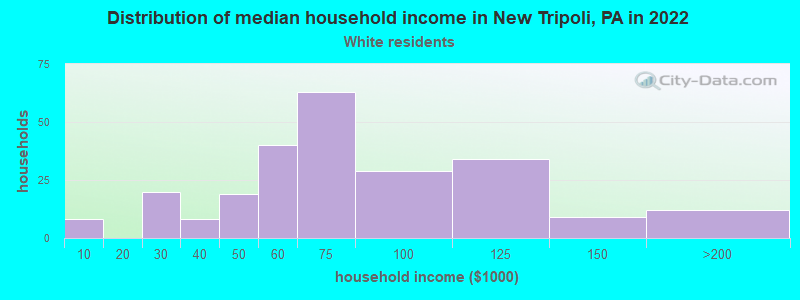 Distribution of median household income in New Tripoli, PA in 2022