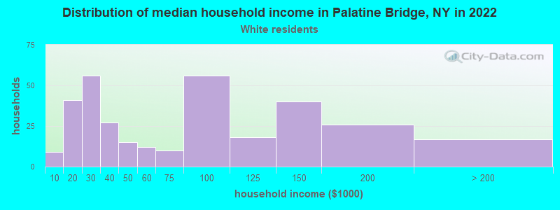 Distribution of median household income in Palatine Bridge, NY in 2022