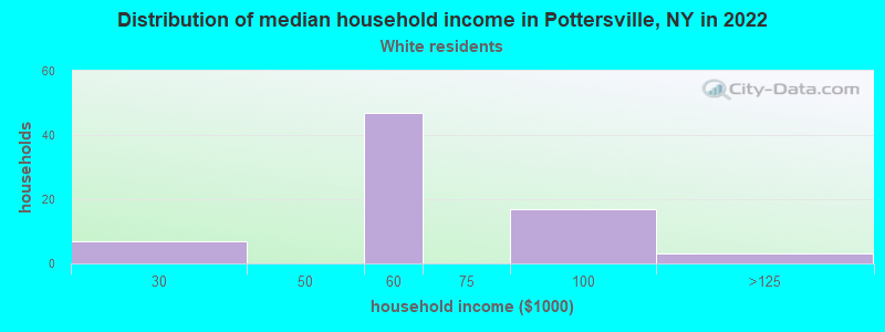 Distribution of median household income in Pottersville, NY in 2022